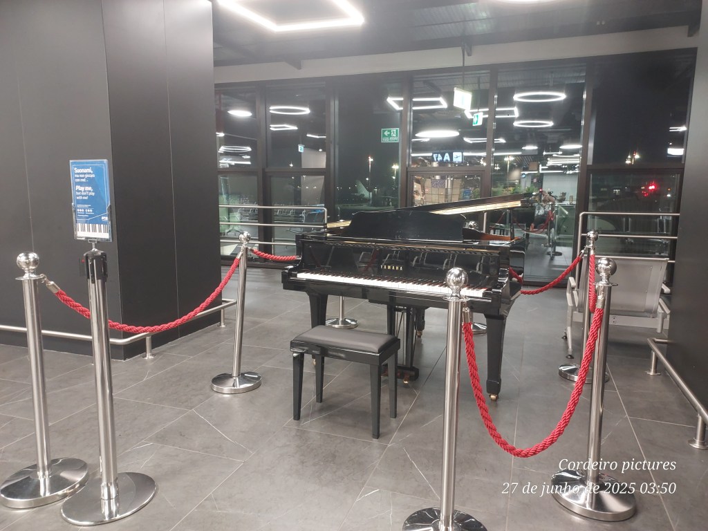 ✨ Da escala em Roma ao piano da fé: crônicas de um servidor em missão